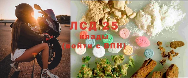 спайс Арсеньев